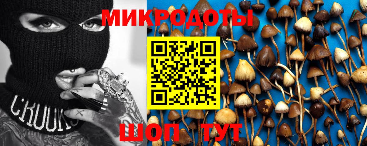 Касимов  Псилоцибиновые грибы Magic Shrooms  Вход с VPN 