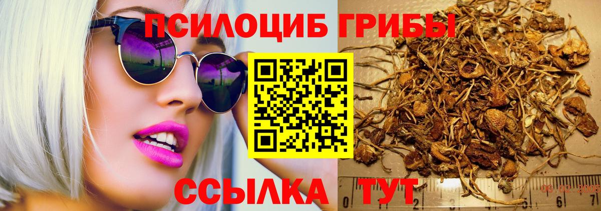 Псилоцибиновые грибы Magic Shrooms Касимов